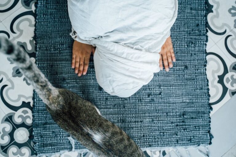 pet loss and healing