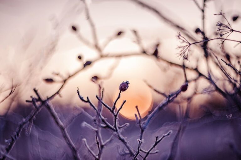 winter prayers for joy