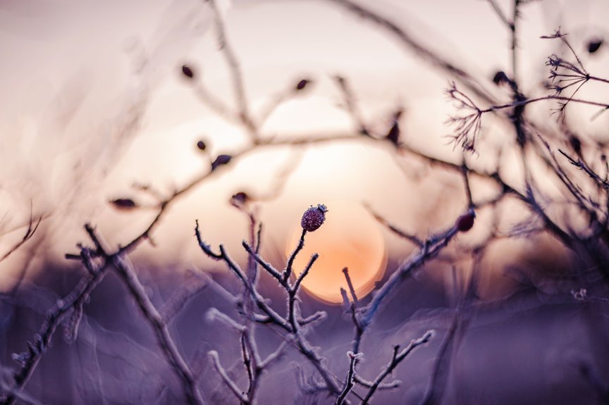 winter prayers for joy